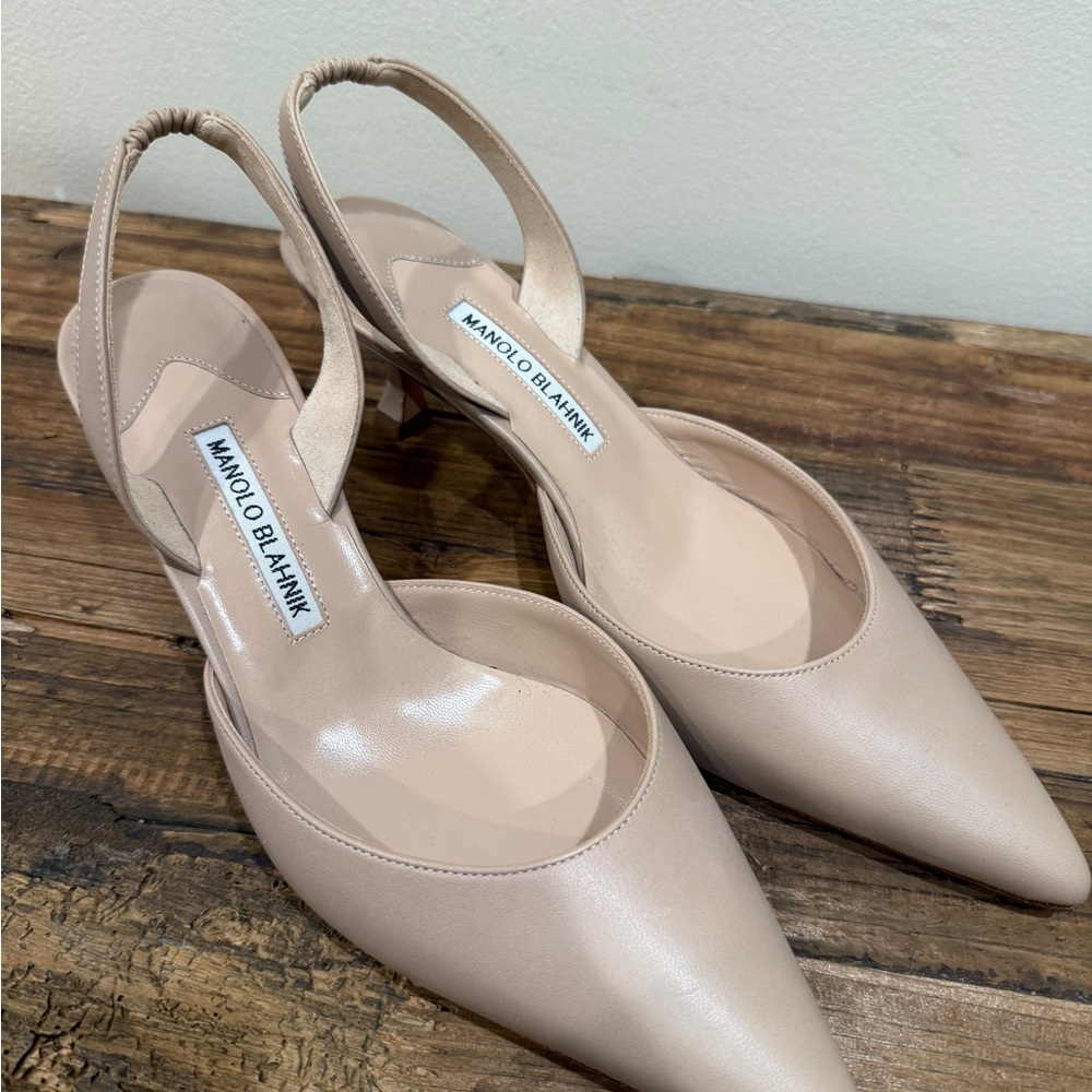 Manolo Blahnik Nude Slingback Pointed Toe Pumps